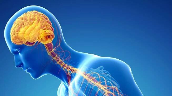 Inka Tichá - kraniosakrální osteopatie a biodynamika - Online rezervace a recenze