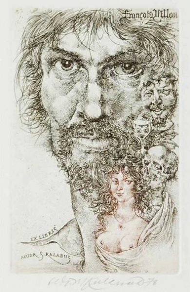 kulhanek villon | Čítárny