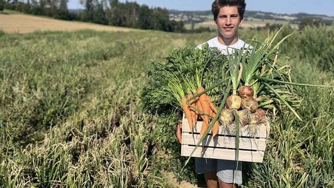 Do polí Vysočiny na samosběr. Deník ví, kam pro brambory, cibuli a mrkev