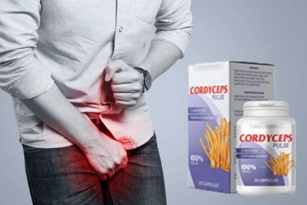 Cordyceps Pulse Cena Kde koupit