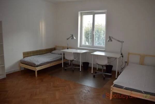Nabízím Spolubydlení Hradec Králové