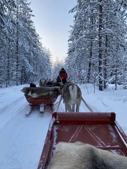 Santa Claus Reindeer