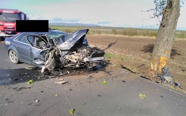 AKTUÁLNĚ: Havárii vozu, který narazil do stromu, nepřežil domácí mazlíček. Silnice do Hrušovan je uzavřená - e-Chomutovsko.cz