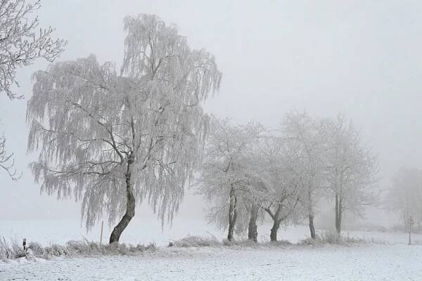 Na východě Česka je mlha a náledí, pozor na silnicích. Bude až 7 °C, sledujte radar Blesku