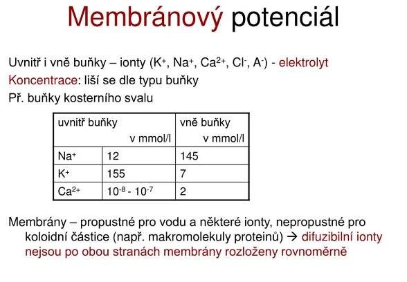 PPT - Šíření vzruchu v živém organismu PowerPoint Presentation, free download - ID:6740607