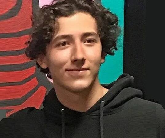 Frankie Jonas Biography - Facts, Childhood, Family Life & Achievements