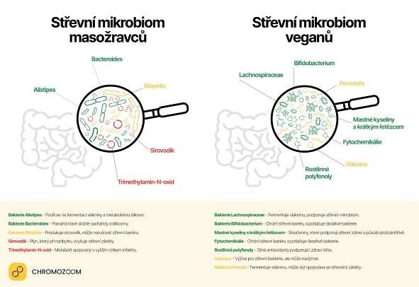 Geny, mikrobiom a výživa: Proč někdo miluje steak a jiný tofu? | inback