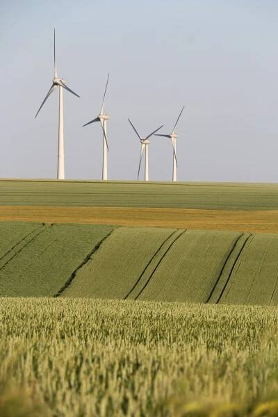 Fields Of Green – Fotky a videa sesbíraná uživateli Lisa from Pexels (celkem 79)