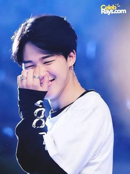 Park Ji- min source of income
