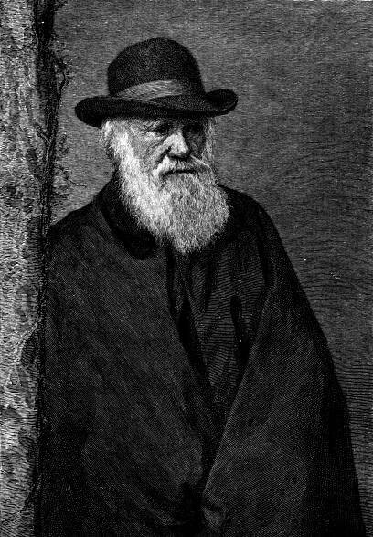 File:Charles Darwin by Elliott and Fry.jpg - Wikimedia Commons