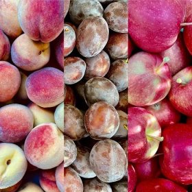 Prodej broskví, švestek, jablek a hroznů