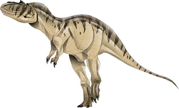 Albertosaurus - The Montana Dinosaur Trail