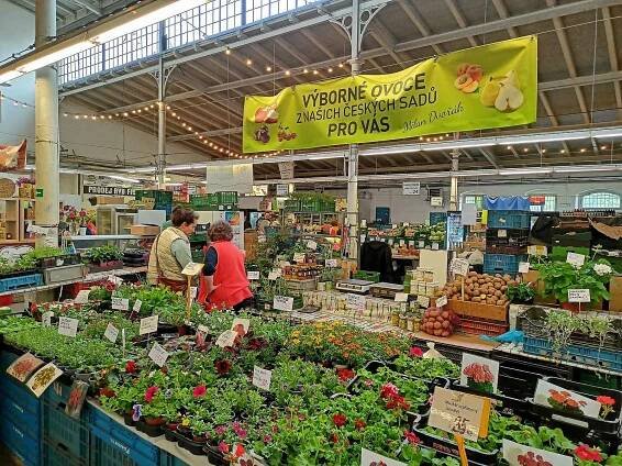 Návštěvnost farmářských trhů opadá. Stánkaře živí přeprodávaná zelenina