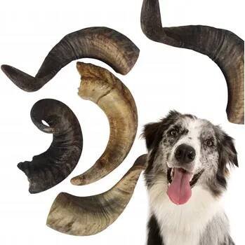 ROH BERANI XXL. BEST-DOG