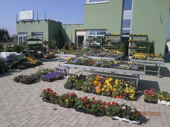 Zahradní centrum Kumburský Újezd | Zahradnictví Jičín