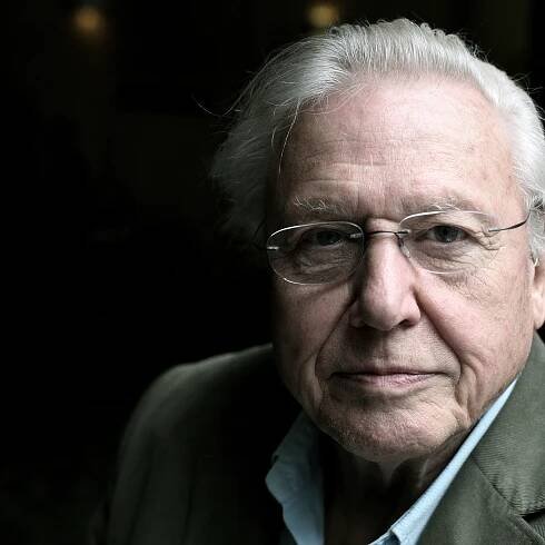 Sir David Attenborough — things you didn't know about the legendary broadcaster