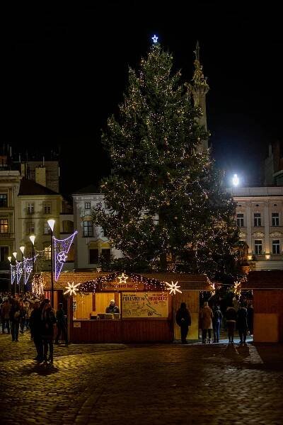 Vánoční strom v Olomouci už svítí, trhy začaly. Podívejte se