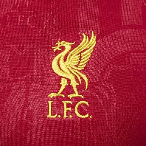 Dri-FIT Liverpool FC Academy Pro