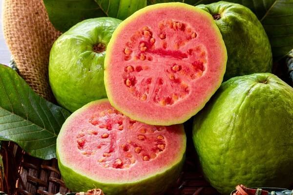 Guava: tropické ovoce, které dobývá krásu a zdraví