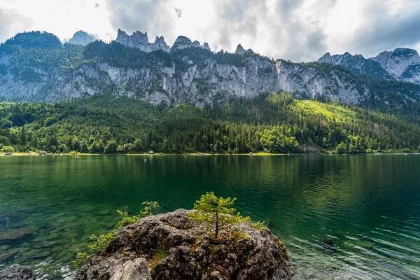 Kategorie: Příroda a zvířata – Tomáš Kopecký - Fotografické portfolio