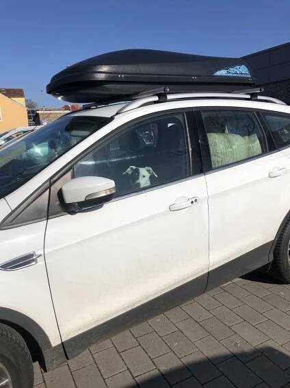 Fort von hier..wie ein Vogel, weit fort von hier - Vaile Fuchs