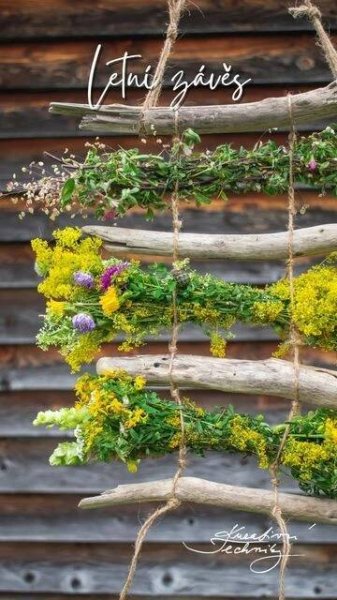 DIY Hanging Plant Arrangement with Driftwood