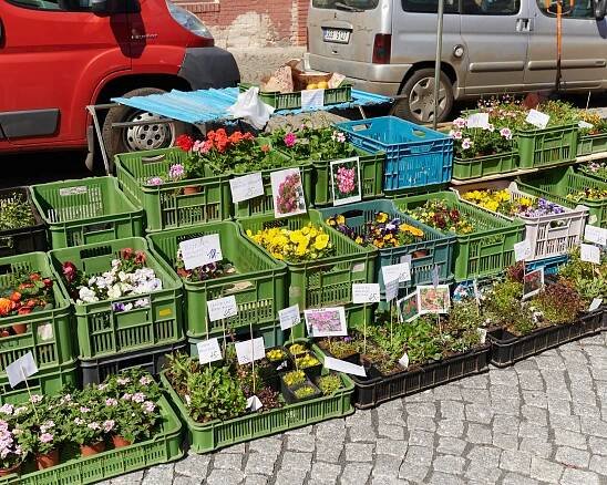 Pražská tržnice otevřela zeleninový trh pod širým nebem