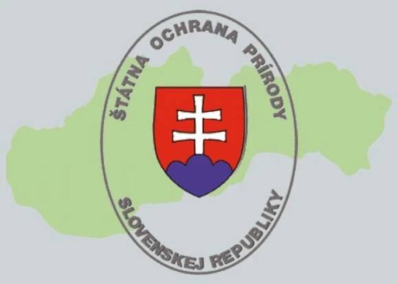 Slovensko: Naši orli dostanou šanci na přežití