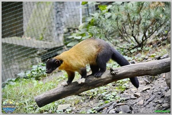 Zoopark Chomutov