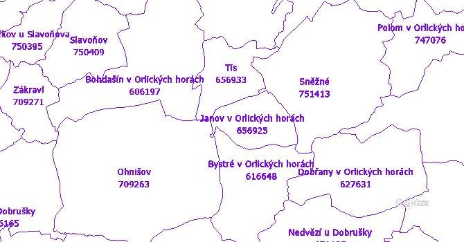 Katastrální mapa Janov