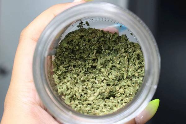 Best Commercial Herb Grinders For Consistent Shredding