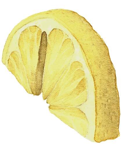 lemon 1