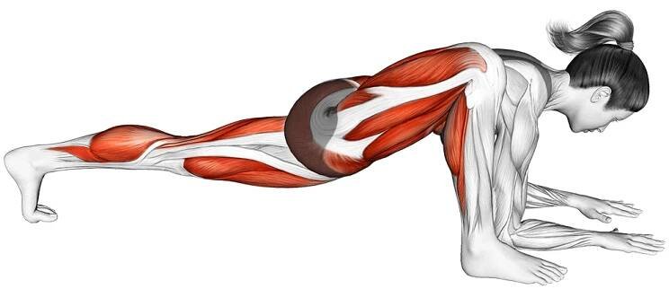 lizard pose stretch