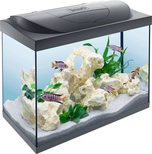 Akvarijní set Tetra Starter Line LED 61x32x51cm 80l Výška akvária 62 cm