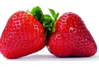 Jahodník jednouplodící 'Vivaldi' - Fragaria ananassa 'Vivaldi' Květník o průměru 9 cm