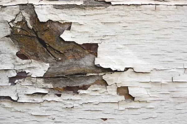 Old painted wood close up — Stock Image