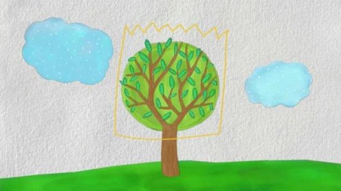 Listnaté stromy: Části stromu, ekosystém - ČT edu - Česká televize