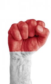Flag af Monaco malet på menneskelig knytnæve som sejr symbol - Stock-foto