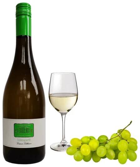 Grüner Veltliner Lössgartl 2024
