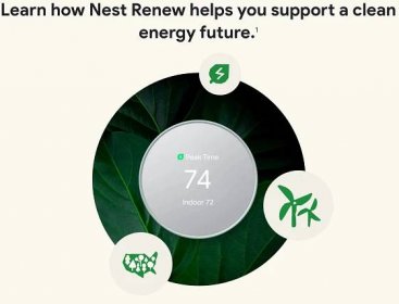 Learn how Nest Renew supports a clean energy future