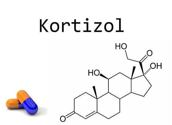 Kortizol - nie je liek ale hormón aká hodnota v krvi?