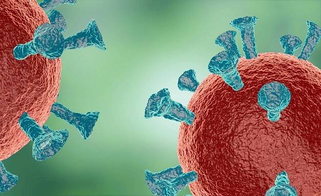 Eminent MIT Scientists Defend Controversial SARS-CoV-2 Genome Integration Results