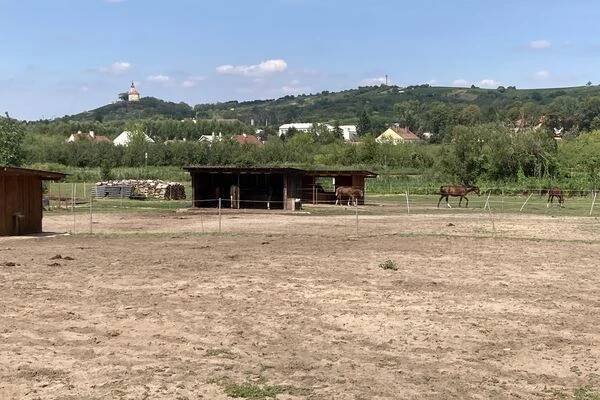 Jezdecká stáj Bzenec foto 1