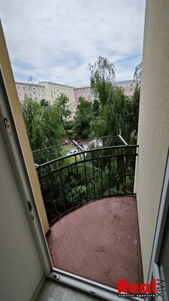 Pronájem, byt 3+1, CP 75m2, ul. Grohova, Brno - střed, k.ú. Veveří