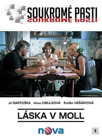 Soukromé pasti: Láska v moll