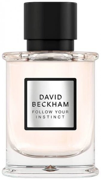David Beckham Follow Your Instinct M EDP, 50 ml 50 ml od 452 Kč