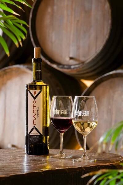 Bodega La Geria | Bodega La Geria