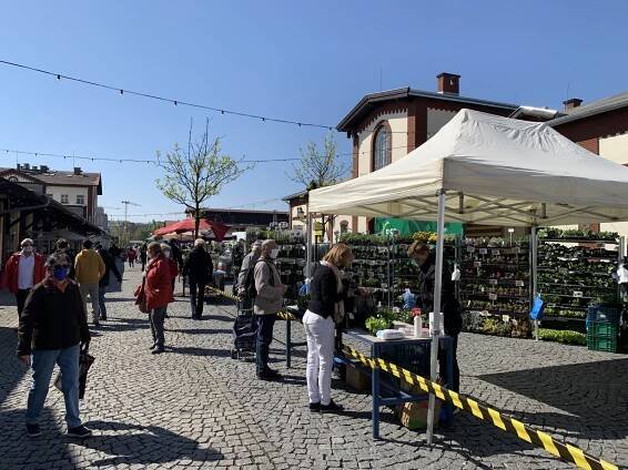 Dezinfekce a roušky mezi sazeničkami. Pražská tržnice otevřela pod širým nebem