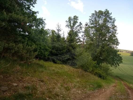 Prodej Pozemek, Miloňovice - Sudkovice, okres Strakonice