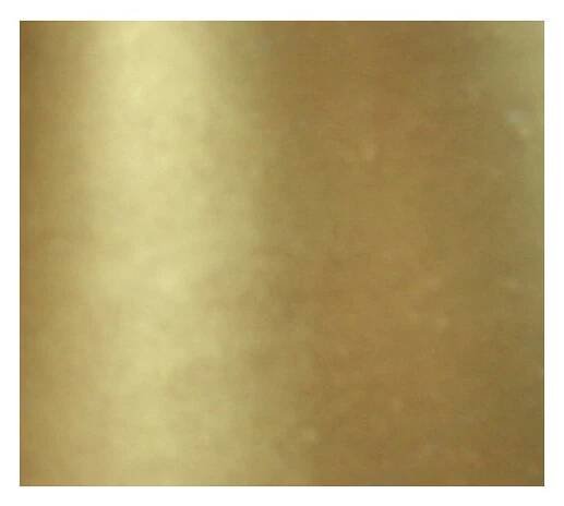 GOLD FINGER GOLD 50 ml